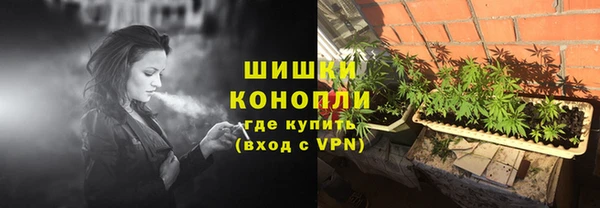 дживик Карпинск
