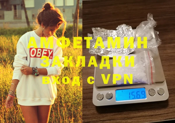 ПСИЛОЦИБИНОВЫЕ ГРИБЫ Каменка