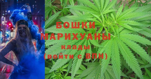 ПСИЛОЦИБИНОВЫЕ ГРИБЫ Каменка