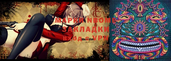 ПСИЛОЦИБИНОВЫЕ ГРИБЫ Каменка