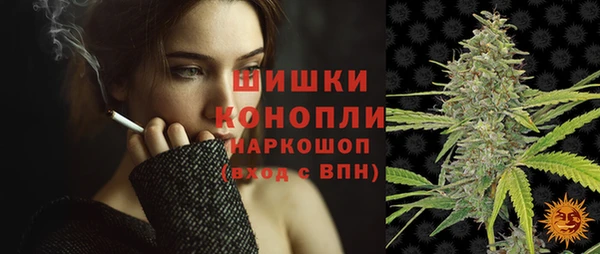 ПСИЛОЦИБИНОВЫЕ ГРИБЫ Каменка